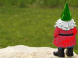 Iran gnome
