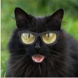 Crackerglasses