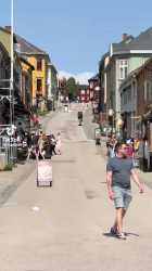 elg_på_røros-8bq1m206o27f1_thumb.jpg