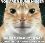 Dumb