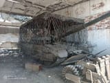 spaghetti tank