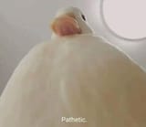 131938