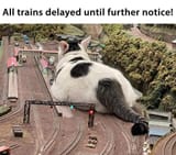 1747536130899425