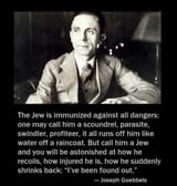 joseph-goebbelss-quotes-4