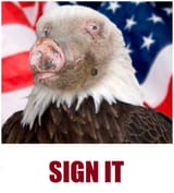 1735791839307400