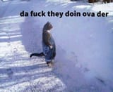 Cat_Standing_in_the_Snow