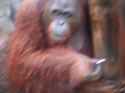 1651423601861_thumb.jpg