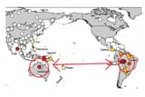 Population Y dispersal