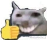 1738977203421921