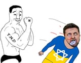 T.N.D. Nazi Punch Ukraine Zelensky Jew Soyjak Knockout Meme