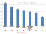 mean brain size and IQ by race