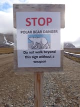 Polar_bear_sign_Ny-Alesund