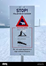 schild-warnung-eisbrgefahr-sicherheitsvorkehrungen-waffenpflicht-polarregion-schneelandschaft-gefhrliche-t...olfoto-sign-warning-polar-bear-danger-safety-precautions-firearm-safety-polar-region-snowy-landscape-dangerous-ani-2Y38HE1 (1)