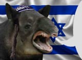 jew1
