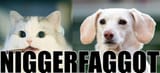 NIGGERFAGGOT