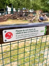 IMG_0564