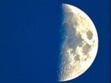 IMG_7424