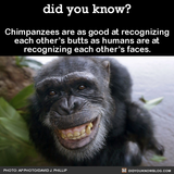 Chaostrophic.com005