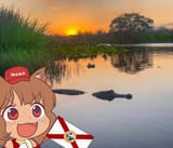 awoo florida5