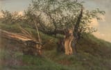Carl Georg Scheuermann (Copenhagen, Kingdeom of Denmark, Denmark-Norway 1803-1859 Copenhagen, Kingdeom of Denmark) Two Broken Tree Trunks - Oil on paper-min