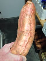 yam