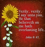 john 6.47 kjv