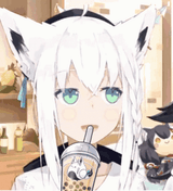 Fubuki_tea slupring_b4765f9afdbbce895c60f504810ebe90