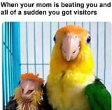 1668851413130696