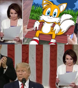 tails and pelosi_1674717427656233