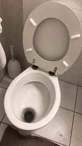 GermanShelfShitter