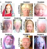 middle eastern albinos