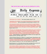 Screenshot 2025-06-01 at 18-23-22 JewsDeclareWarOnGermany1933.pdf
