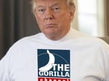 the_gorilla_channel