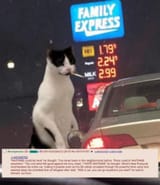 1729027071765028