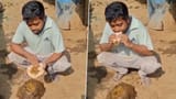 cow dung chapati