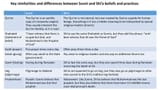 Key+similarities+and+differences+between+Sunni+and+Shi’a+beliefs+and+practices