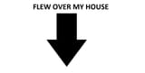 flew