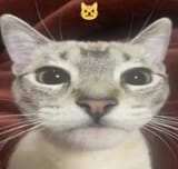 1742553189709649