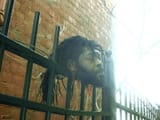 peaceful_nig