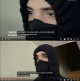 vice