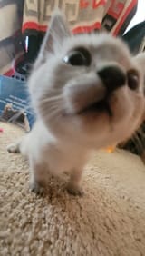 1724629720717159