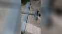 55.mp4 BlurBack720_thumb.jpg