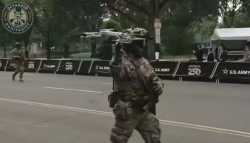 american parade_thumb.jpg