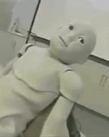 84848484