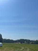 1728421238012257