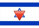 the nigger flag