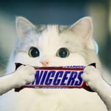NIGGERS