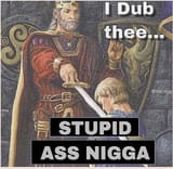 dub the stupid ass nigger