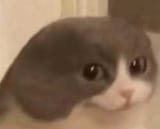1651381173552
