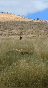 GIF_20240615_144545_433